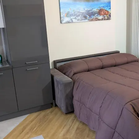 公寓 Marcela C 都灵